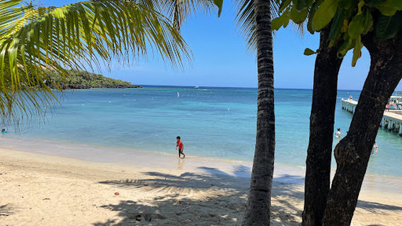 AJ's Monkeys and Sloths