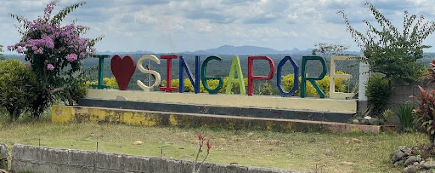 I Love Singapore Sign