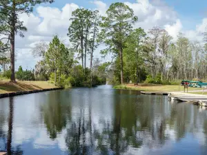 Okefenokee Swamp