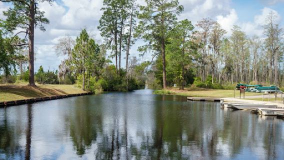 Okefenokee Swamp