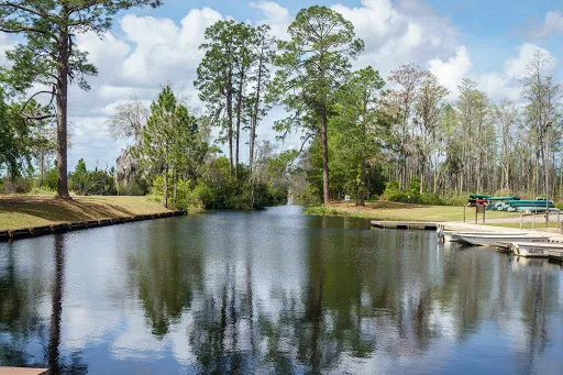 Okefenokee Swamp