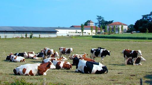 La Ferme de la Bosse