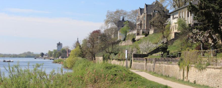 Walluf, Rheinstrand
