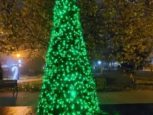 Agentia Pletl Autogara Arad