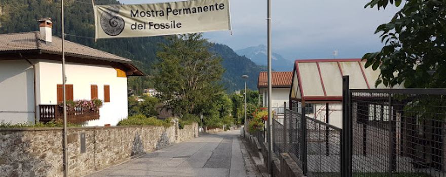 Mostra Permanente del Fossile