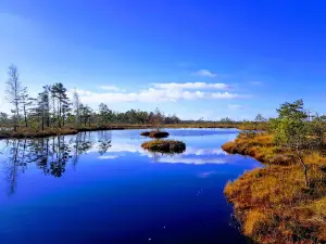 Dunika bog