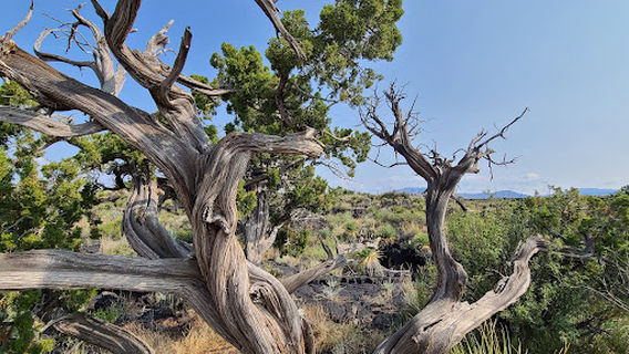 Malpais Nature Trail trailhead