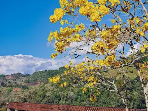 Mirante Ponte de Ferro