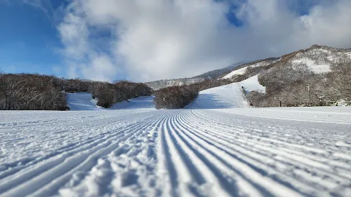 Sunlaiva滑雪場