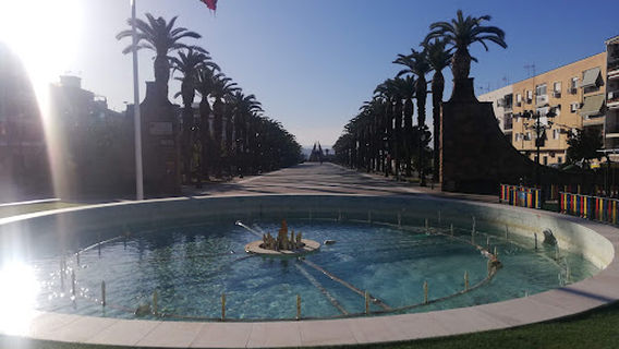 Paseo de las Palmeras