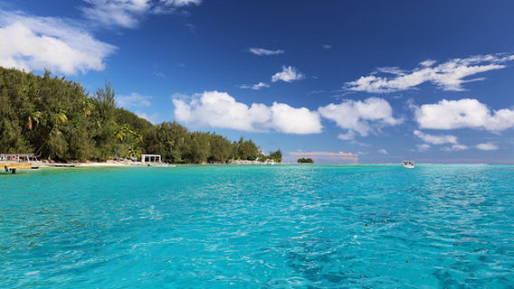 NEMO'Z Diving Pick-Up Point