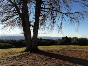 Mpofu Fort Fordyce Nature Reserve