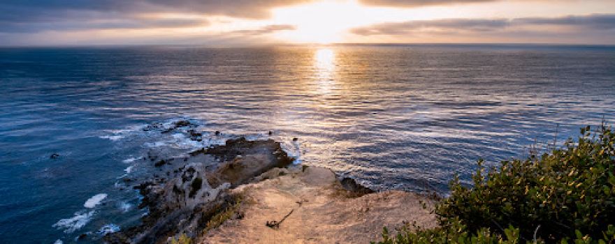 Bluff Cove Trail