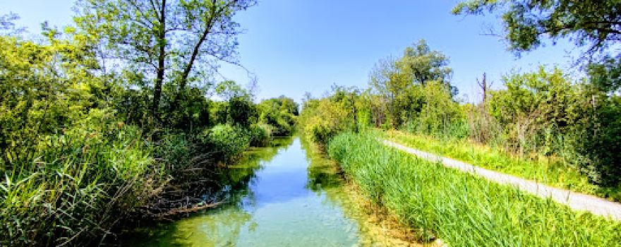 Park am See Schwerzenbach