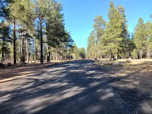 Fort Tuthill County Park