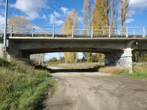 Russell Park