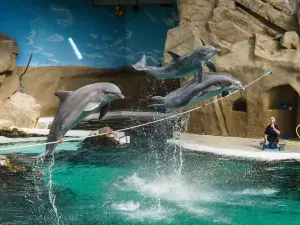 杜伊斯堡動物園