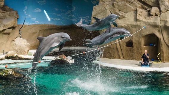 Duisburg Zoo