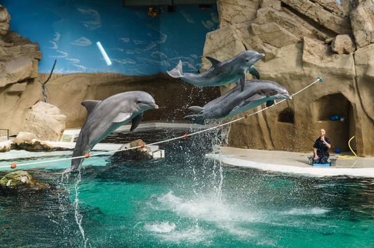 Zoo de Duisbourg