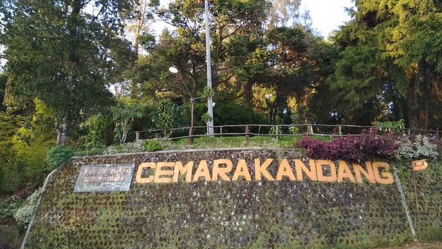 Cemara Kandang