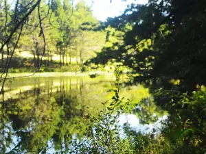 Laguna Don Manuel ( Grill Picnic & camping)