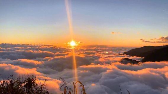Sea of Clouds Observation Deck