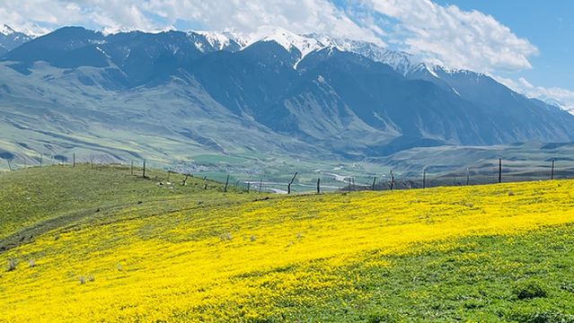 Qiongkushitai Grassland in Xinjiang