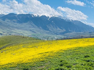 Xinjiang Qiongkushitai Grassland