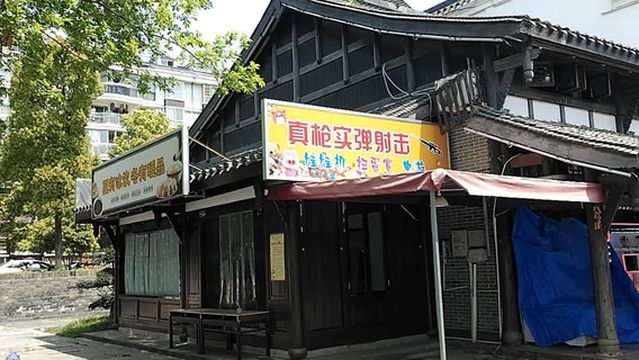 zhen qiang shi dan she ji