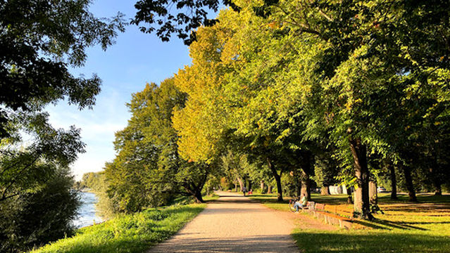 Waldpark Mannheim