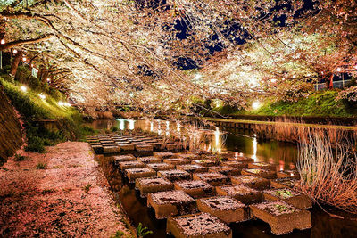 Minesakura Park