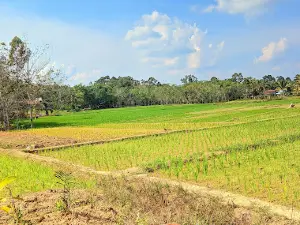 Lapangan Desa Merarai Dua