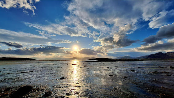 Höfn