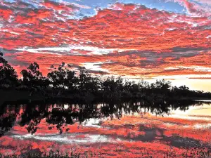 Iytwelepenty / Davenport Ranges National Park