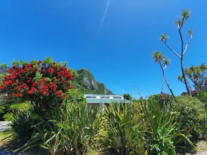 Punakaiki Beach Camp