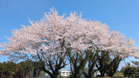 Ushiku