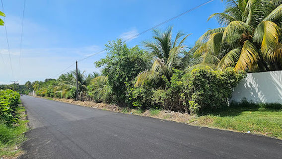 El Zapote, Soccer field