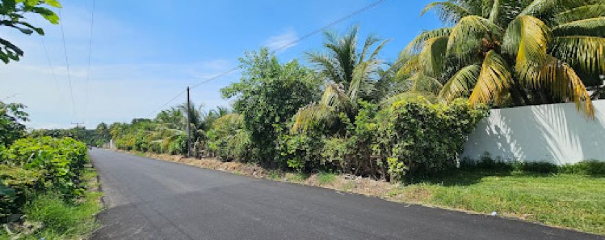 El Zapote, Soccer field