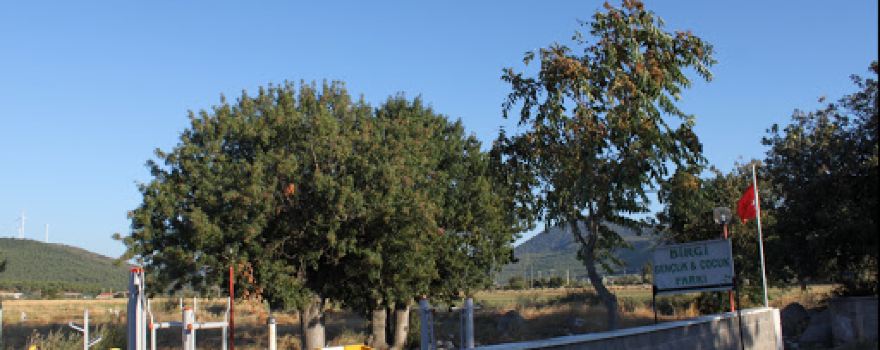 Birgi Gemlikçi Çocuk Parkı