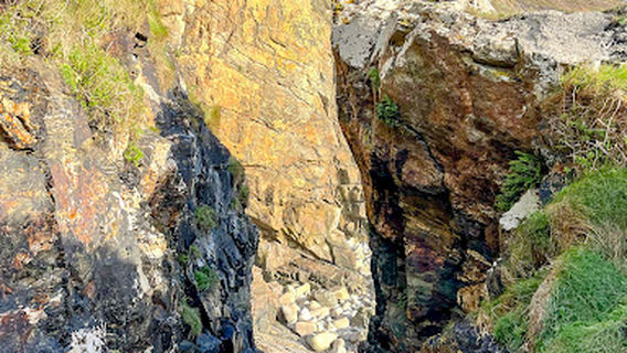 Rinsey Head