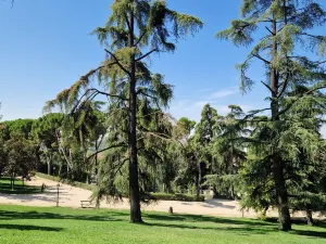 Countryside House Park