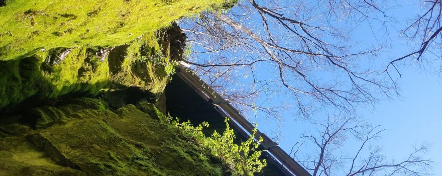 Rock Bridge Memorial State Park