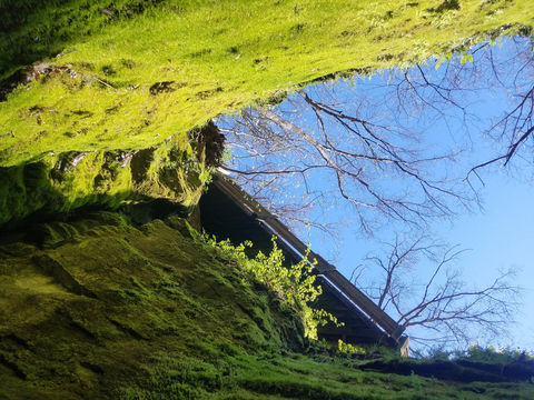 Rock Bridge Memorial State Park