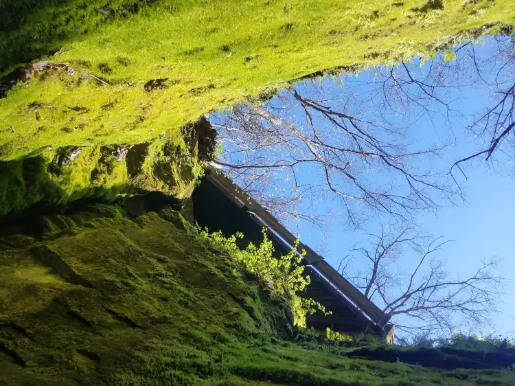Các khách sạn ở Rock Bridge