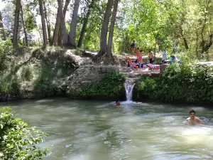 Moli L'Ombria