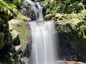 Sleeping Giant Zipline, Orchid Falls & Jungle Safari