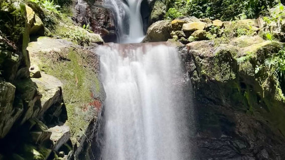 Sleeping Giant Zipline, Orchid Falls & Jungle Safari