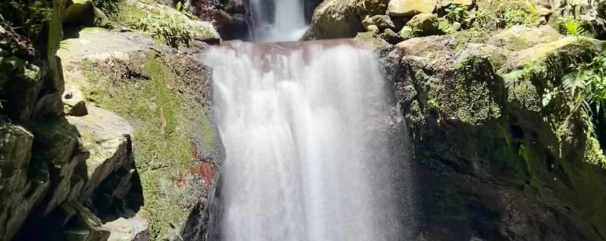 Sleeping Giant Zipline, Orchid Falls & Jungle Safari