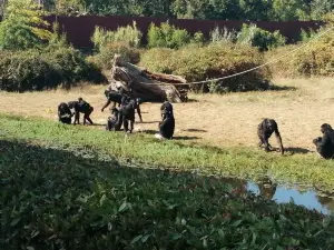 La valle delle Scimmie