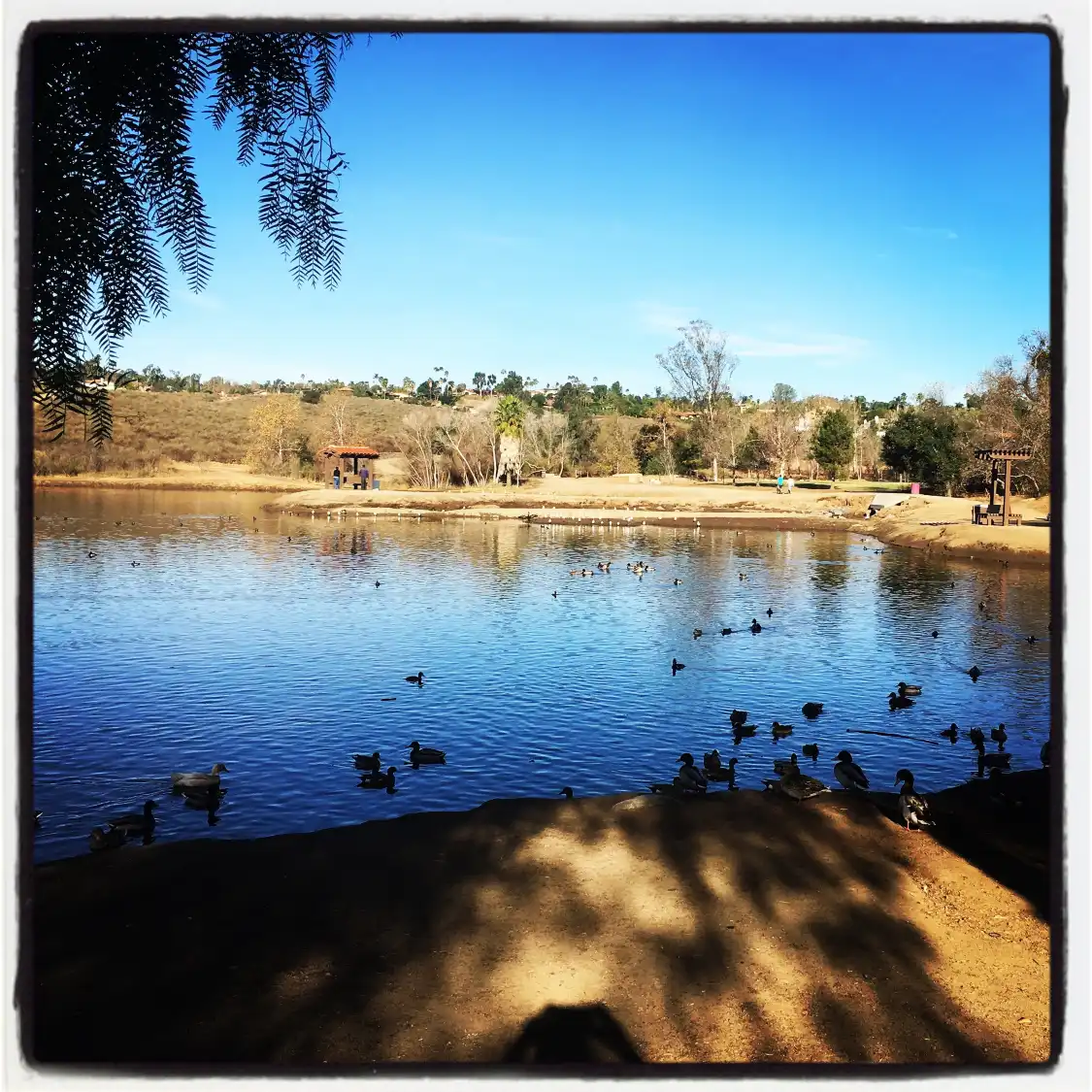 Hotels near Kit Carson Park